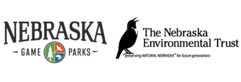 2006