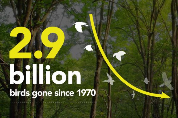 2.9 Billion slide