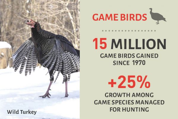 Game Birds